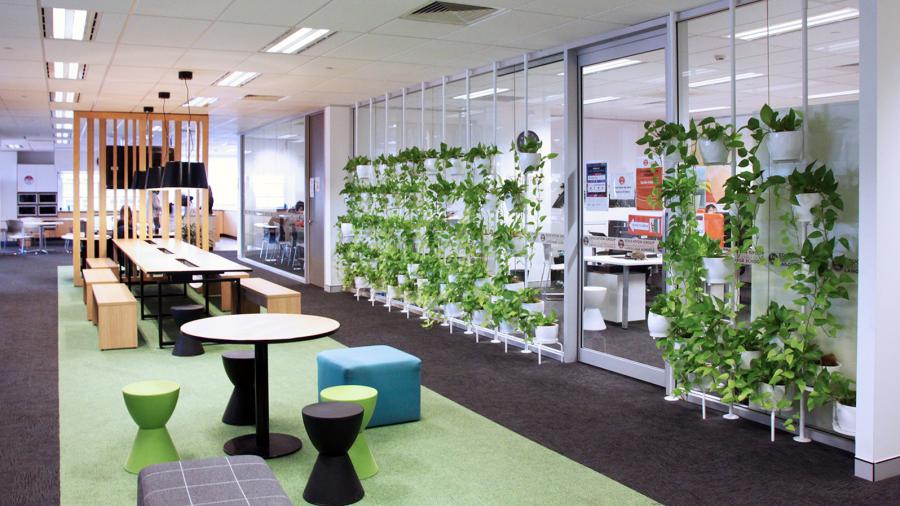 ILSC Sydney, common area