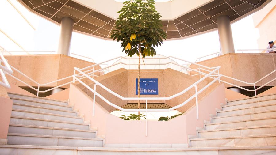 Enforex School Gallery 796 2