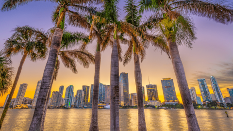 Vacanze Studio Miami
