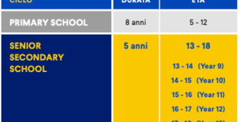 highschool new zealand esl